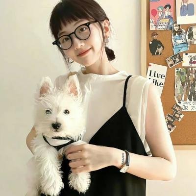 疯狂兔宝宝 高清电影